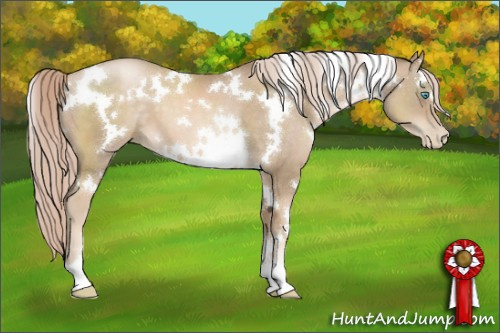 Horse Color:White Spotted Chocolate Palomino Pearl 