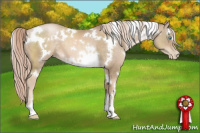 Horse Color:White Spotted Chocolate Palomino Pearl