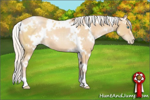 Horse Color:White Spotted Silver Buckskin Pearl 