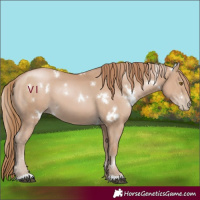 Horse Color:White Spotted Chocolate Black Pearl 