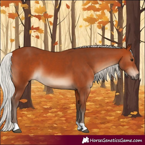 Horse Color:Silver Bay 