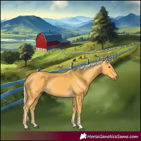 Horse Color:Palomino
