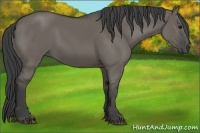 Horse Color:Smoky Grullo 