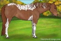 Horse Color:Chestnut Tobiano and Chestnut Tobiano