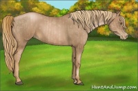 Horse Color:Liver Chestnut Pearl  and Liver Chestnut Pearl 