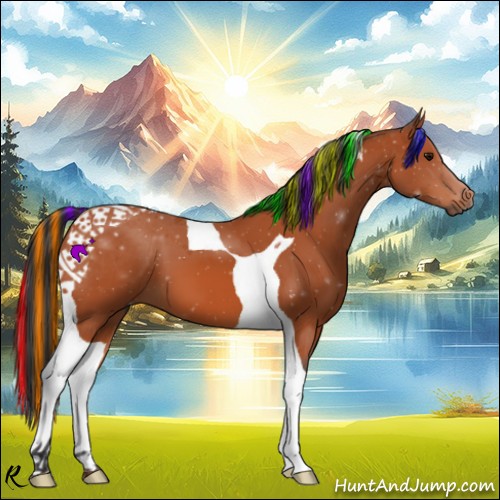 Horse Color:Painted Bay Tobiano