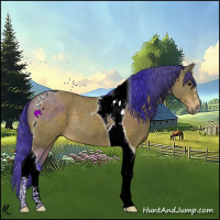 Horse Color:Watercolor Brown Sabino Tobiano Rabicano 