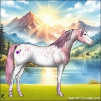 Horse Color:Watercolor White Spotted Buckskin Appaloosa 