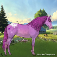 Horse Color:Watercolor Red Dun Appaloosa 
