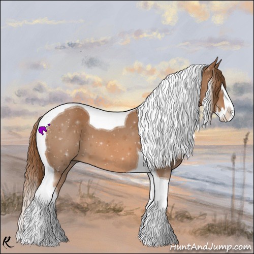 Horse Color:Red Roan Splash Tobiano