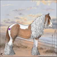 Horse Color:Red Roan Splash Tobiano 