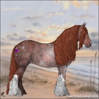 Horse Color:Red Dun Ice 