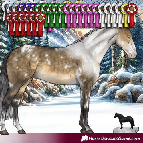 Horse Color:White Spotted Buckskin Dun Sabino Rabicano