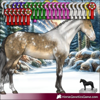 Horse Color:White Spotted Buckskin Dun Sabino Rabicano 