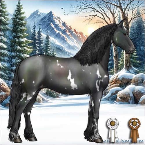 Horse Color:White Spotted Black Sabino Varnish 