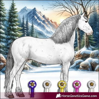 Horse Color:Black Sabino 