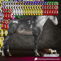 Horse Color:White Spotted Black Sabino