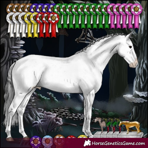 Horse Color:Black Sabino Varnish Rabicano