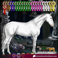 Horse Color:Black Sabino Appaloosa Rabicano 