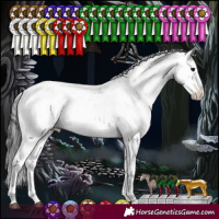 Horse Color:Black Sabino Varnish Rabicano 