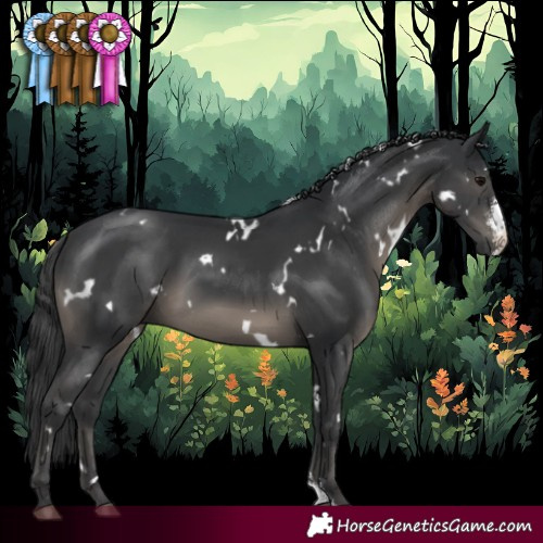 Horse Color:White Spotted Black Sabino Rabicano 