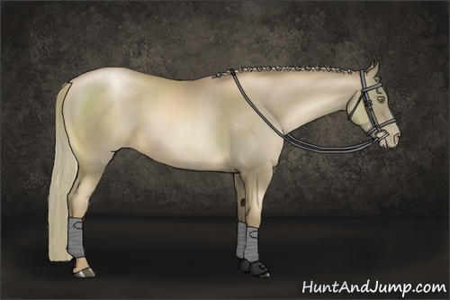 Horse Color:Liver Chestnut Pearl  and Liver Chestnut Pearl 