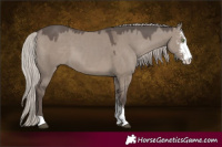 Horse Color:Silver Grullo Sabino 