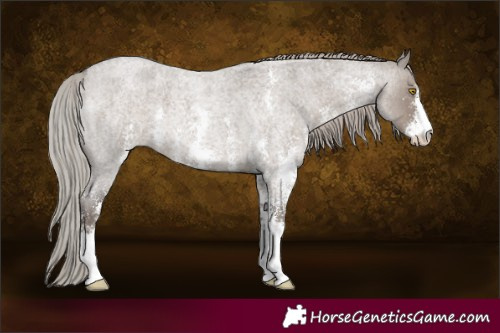 Horse Color:Silver Grullo Roan Sabino 