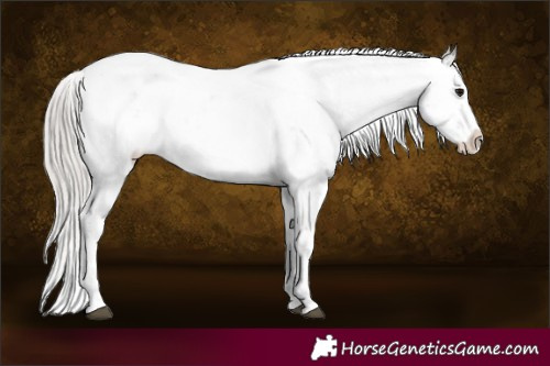 Horse Color:Silver Grullo Sabino 