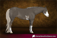 Horse Color:Silver Smoky Black Sabino 