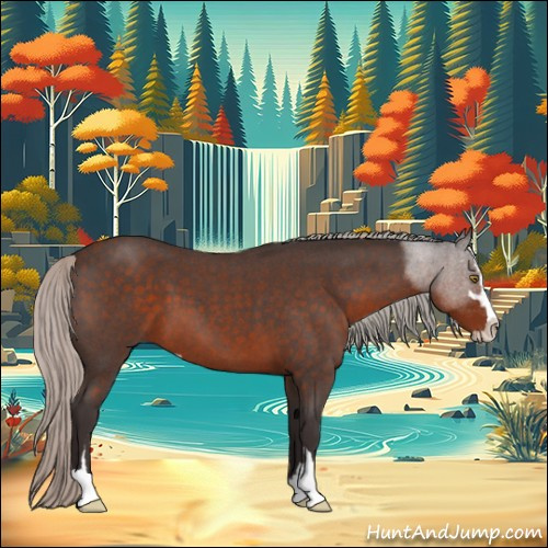Horse Color:Silver Brown Roan Sabino 