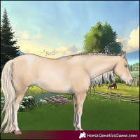 Horse Color:Gold Cream Champagne Pearl
