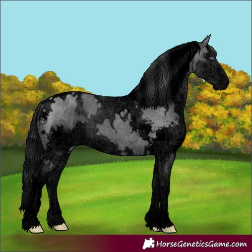 Horse Color:Void White Spotted Grullo Chinchilla Splash 