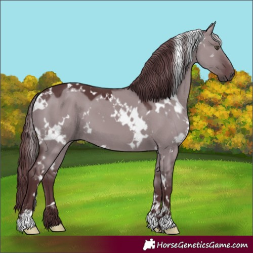 Horse Color:White Spotted Chocolate Grullo Chinchilla