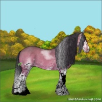 Horse Color:White Spotted Bay Dun Sabino Splash