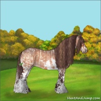 Horse Color:White Spotted Red Dun Ice Sabino Splash and Chocolate Bay Roan Sabino Splash