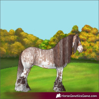 Horse Color:White Spotted Red Dun Ice Sabino Splash and Chocolate Bay Roan Sabino Splash