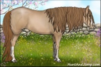 Horse Color:Liver Chestnut Pearl  and Liver Chestnut Pearl 