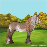 Horse Color:White Spotted Liver Red Dun Sabino 