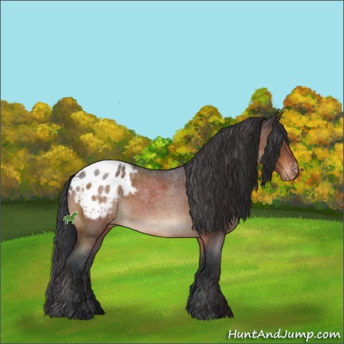Horse Color:Bay Roan Varnish