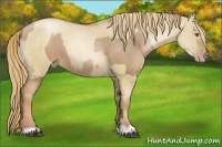 Horse Color:Liver Chestnut Pearl  and Liver Red Dun Pearl 