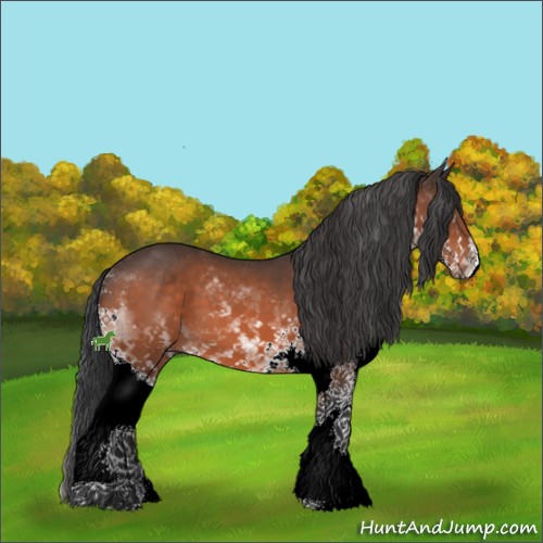 Horse Color:Brown Sabino Splash 