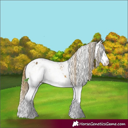 Horse Color:Smoky Black Pearl Sabino Splash Appaloosa Rabicano  and Buckskin Sabino Splash Appaloosa 