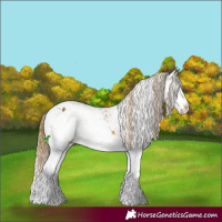 Horse Color:Smoky Black Pearl Sabino Splash Appaloosa Rabicano  and Buckskin Sabino Splash Appaloosa 