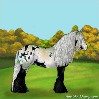 Horse Color:Watercolor White Spotted Silver Blue Onyx Chinchilla Sabino Splash Appaloosa 