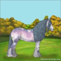 Horse Color:Watercolor Red Onyx Ice Sabino 
