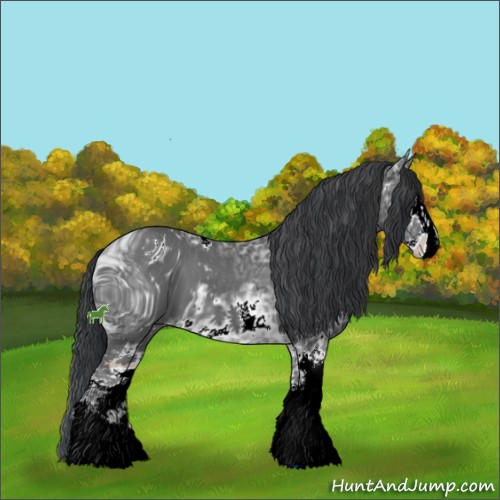 Horse Color:ERROR: UNKNOWN ANOMALY