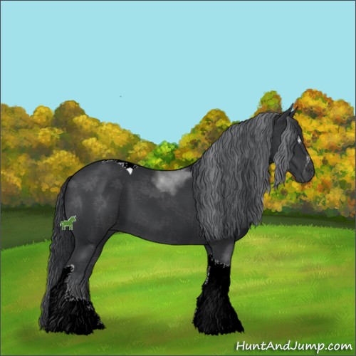 Horse Color:Black Sabino Tobiano 