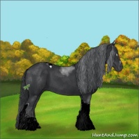 Horse Color:Black Sabino Tobiano