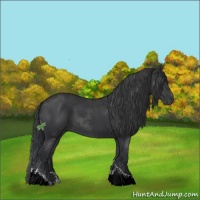 Horse Color:Black Sabino Tobiano 